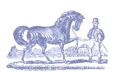 The Morgan Horse in Story and Song