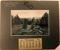 1908 FNB calendar